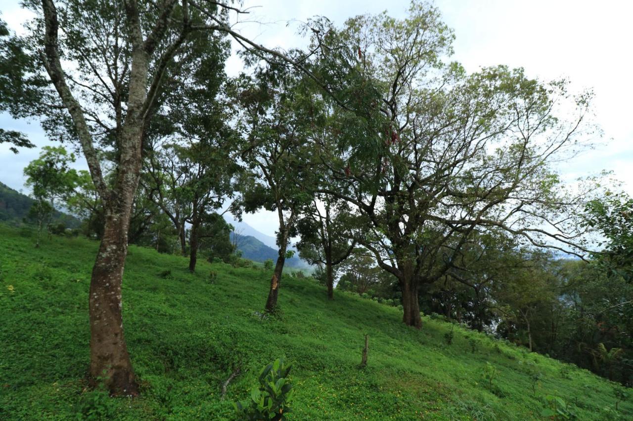Ambady Estate Hotell Munnar Exteriör bild